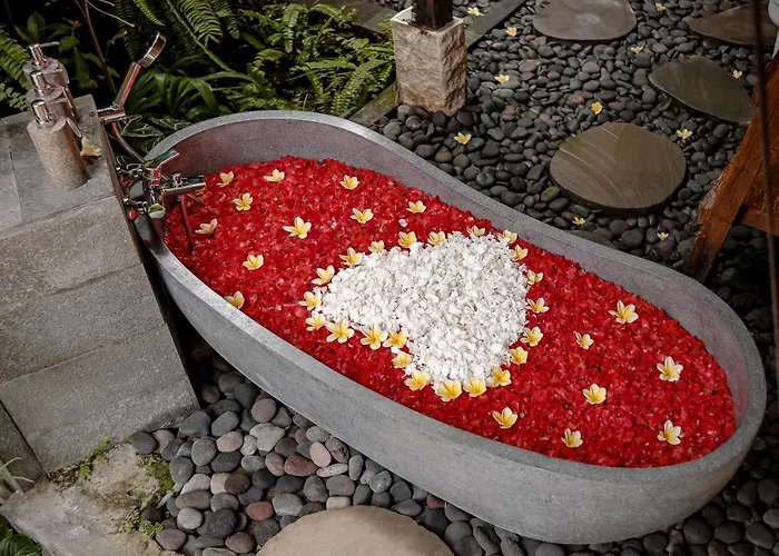 Andara Ubud